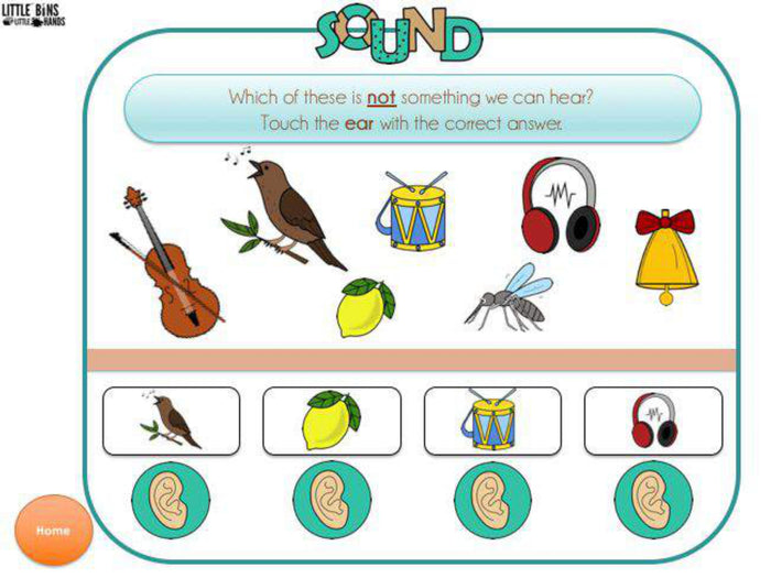 5 Senses Digital Activities Pack