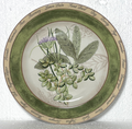 American Atelier Bouquet Garni Salad Dessert Plate Mint Basil 8"0