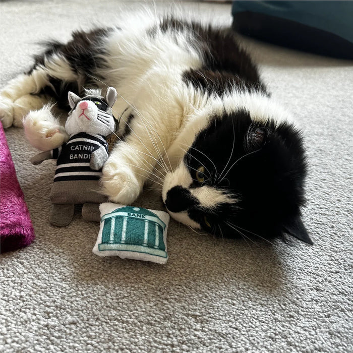 Ancol Catnip Thief Toy