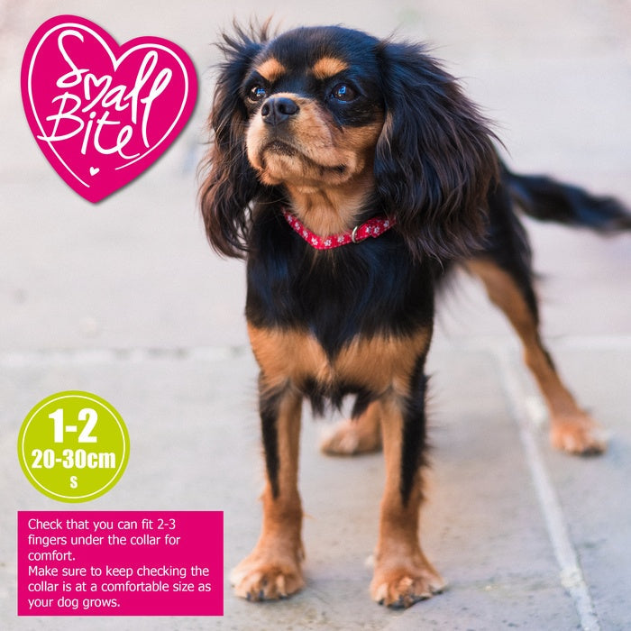 Ancol Small Bite Stars Puppy Collar & Lead Set