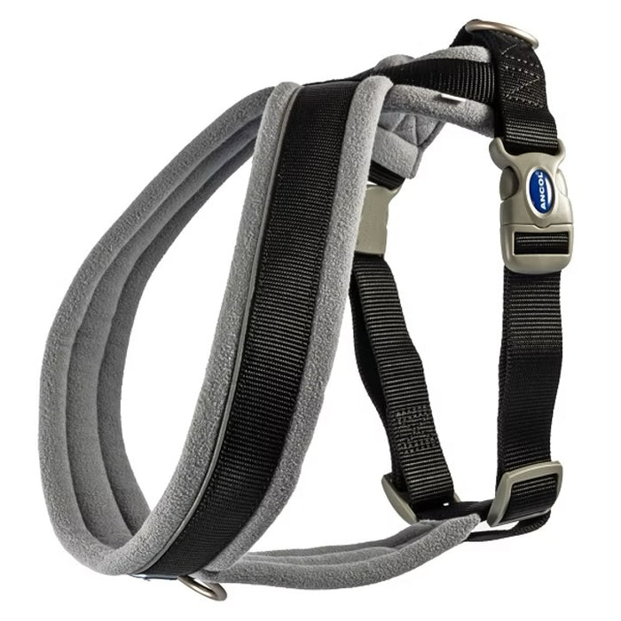 Ancol Viva Padded Nylon Dog Harness