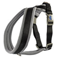 Ancol Viva Padded Nylon Dog Harness