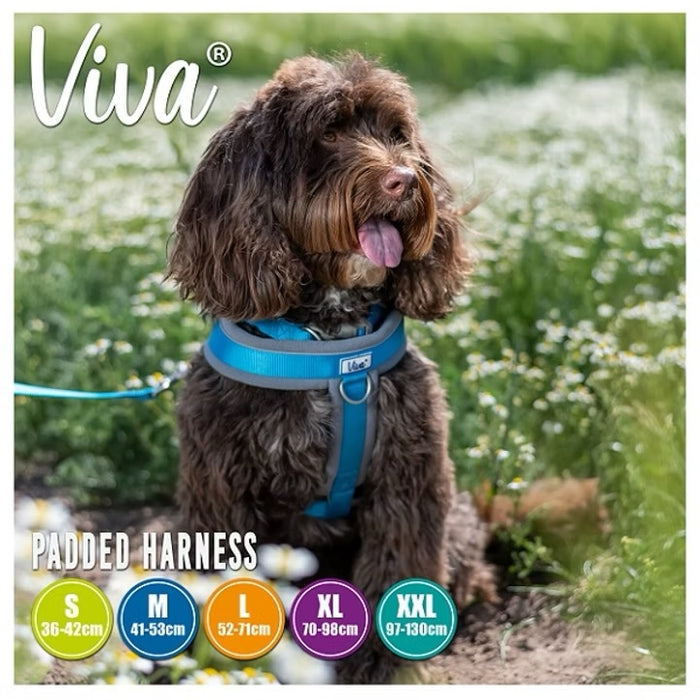 Ancol Viva Padded Nylon Dog Harness