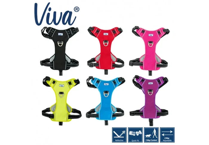 Ancol Viva Travel & Exercise Harness