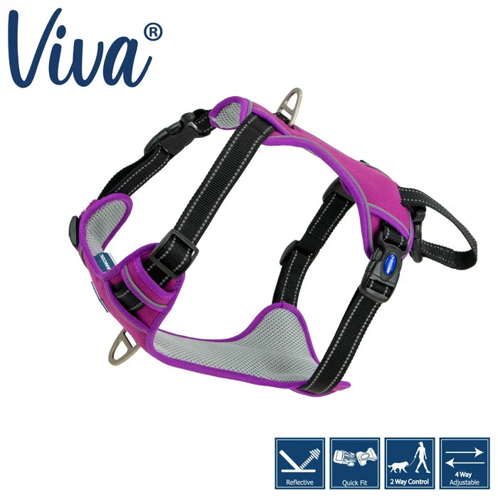 Ancol Viva Travel & Exercise Harness