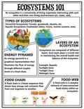 Animal Ecosystems Science Project Pack