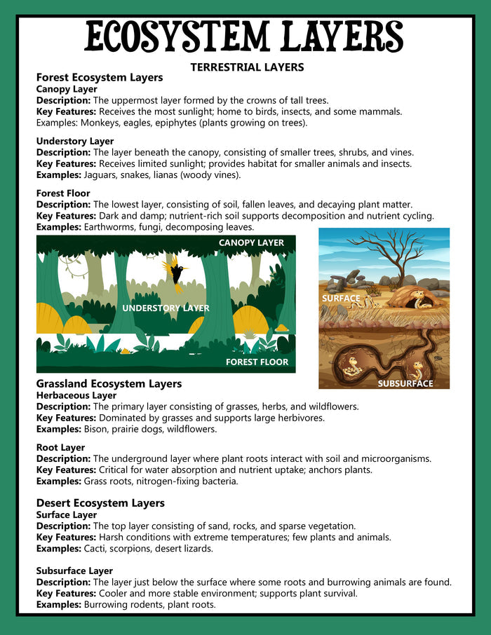 Animal Ecosystems Science Project Pack