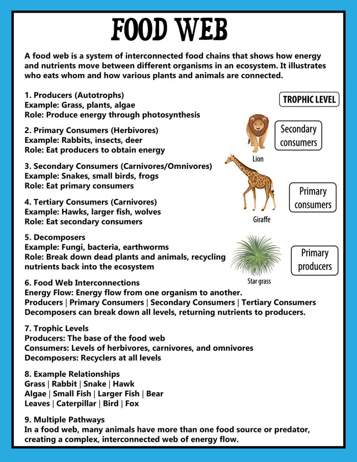 Animal Ecosystems Science Project Pack