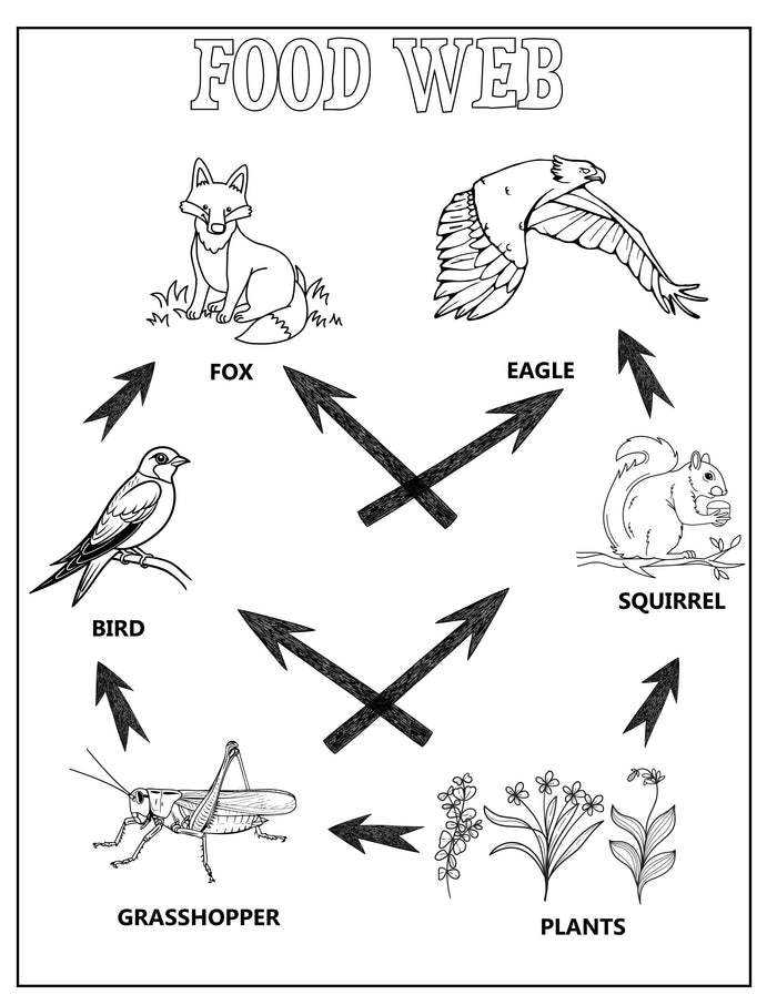 Animal Ecosystems Science Project Pack