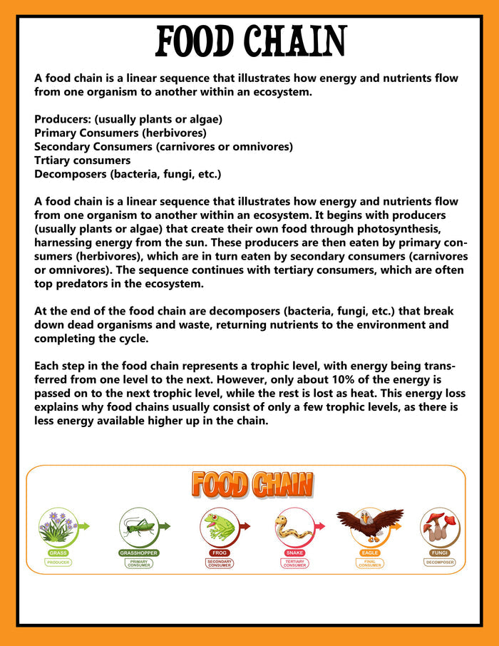 Animal Ecosystems Science Project Pack