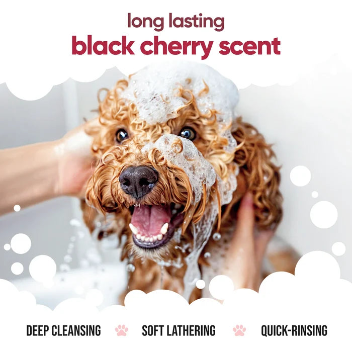 Buddycare Black Cherry Dog Shampoo - 500ml