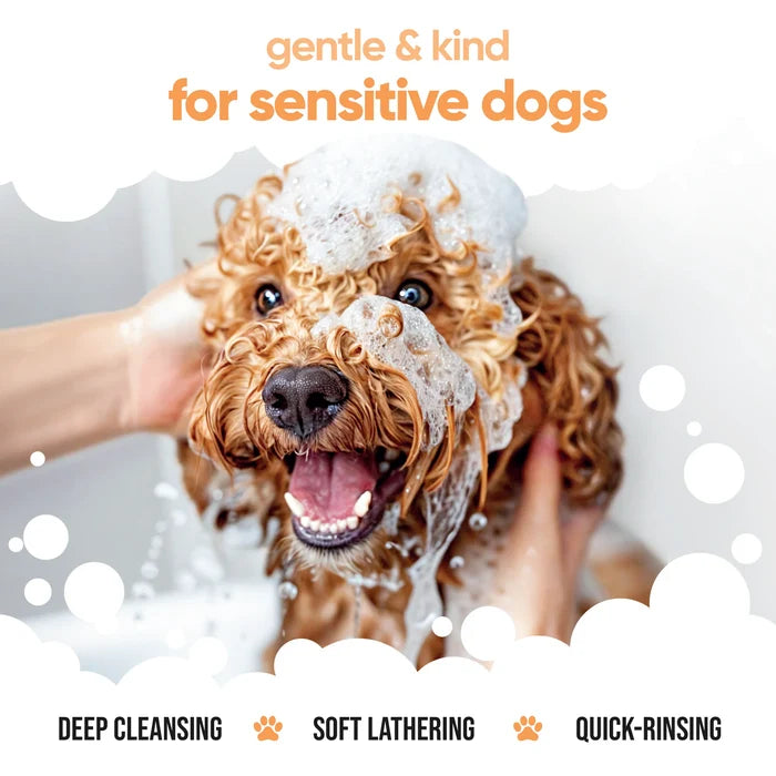 Buddycare Flea & Tick Shampoo - 500ml