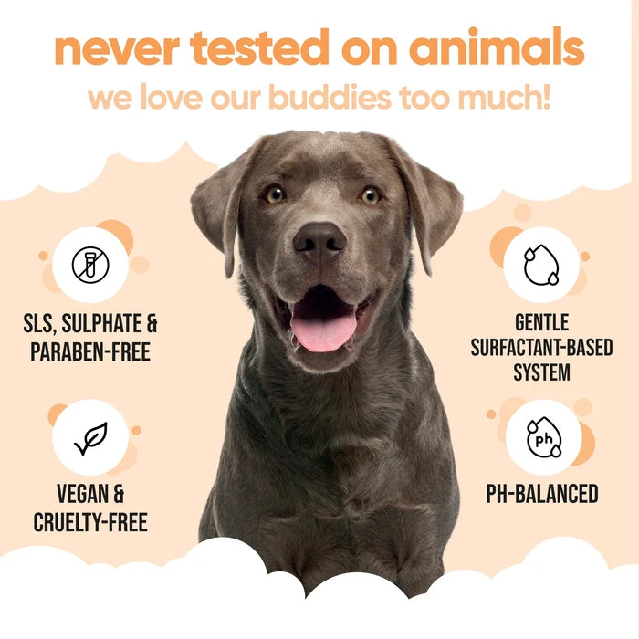 Buddycare Flea & Tick Shampoo - 500ml