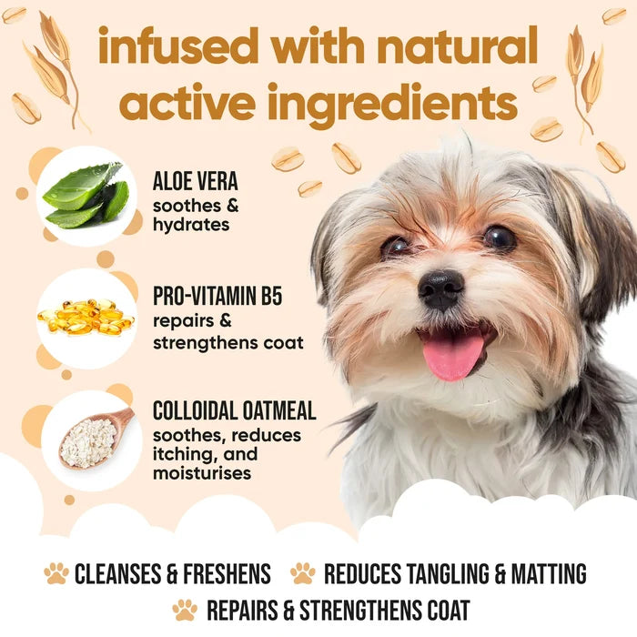 Buddycare Oatmeal Dog Shampoo - 500ml