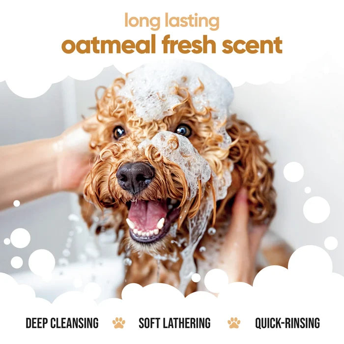 Buddycare Oatmeal Dog Shampoo - 500ml