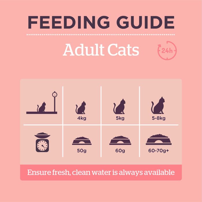 Burgess Adult Scottish Salmon Cat Food 1.5kg