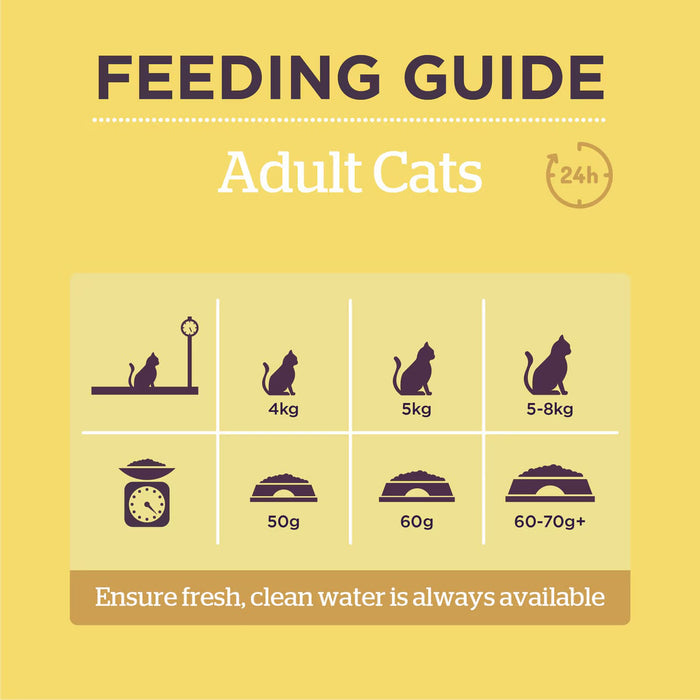 Burgess Cat Adult Chicken & Duck 1.5kg