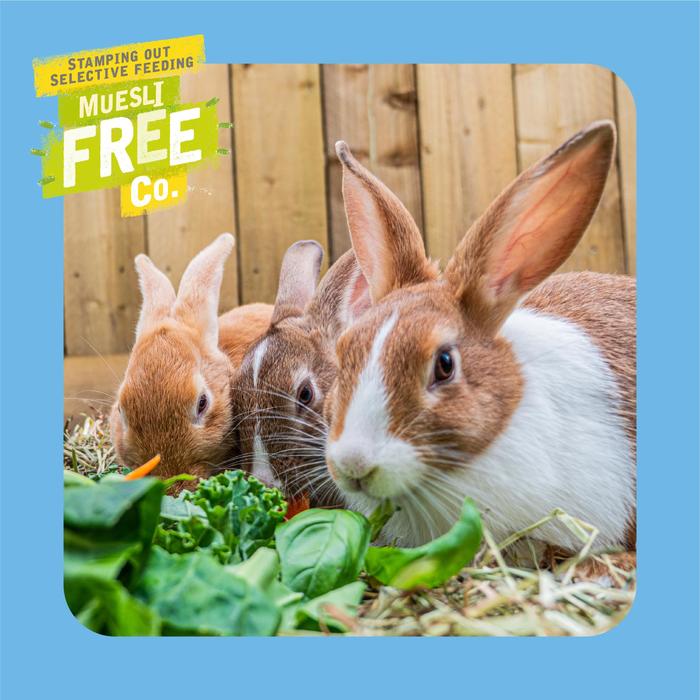 Burgess Excel Tasty Nuggets Junior & Dwarf Rabbit Food with Mint