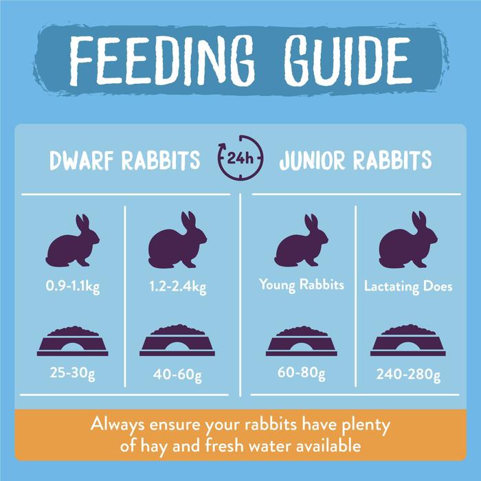 Burgess Excel Tasty Nuggets Junior & Dwarf Rabbit Food with Mint