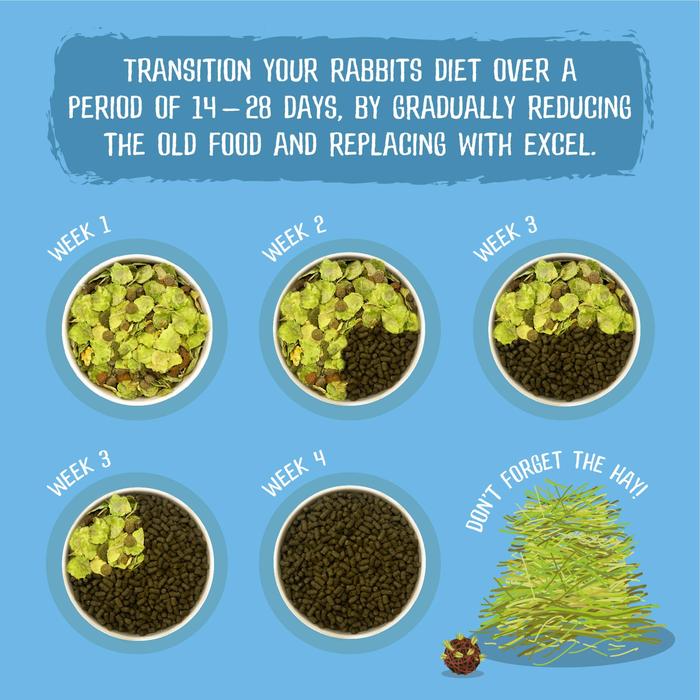 Burgess Excel Tasty Nuggets Junior & Dwarf Rabbit Food with Mint