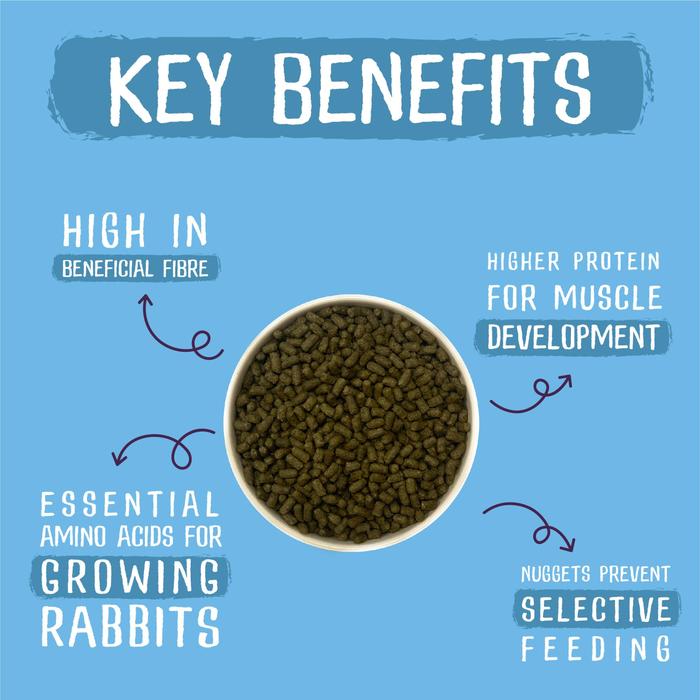 Burgess Excel Tasty Nuggets Junior & Dwarf Rabbit Food with Mint