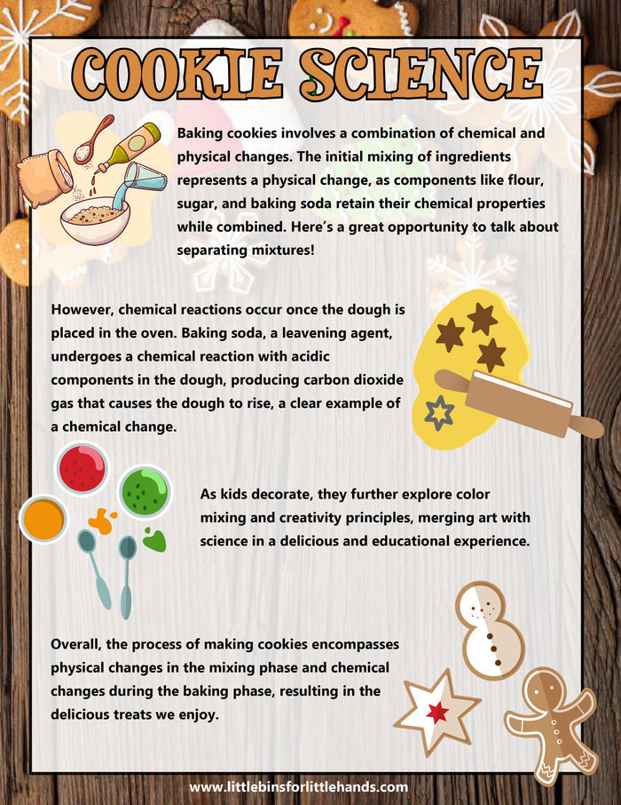 Christmas Gingerbread Project Pack