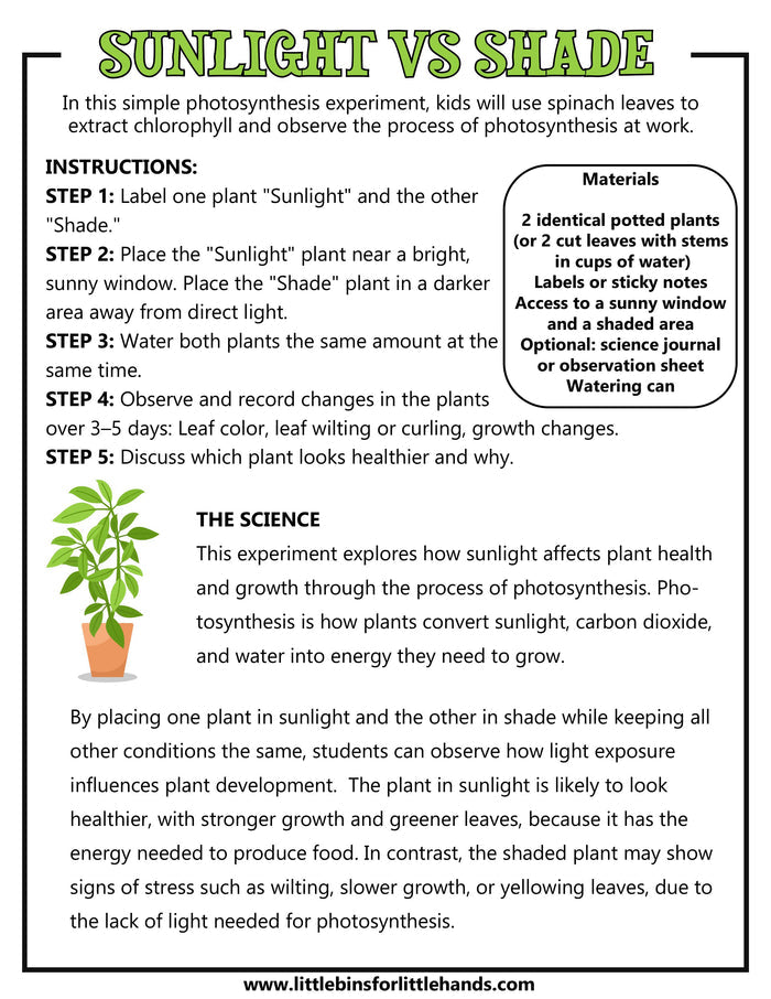 Ecology Investigation Lab