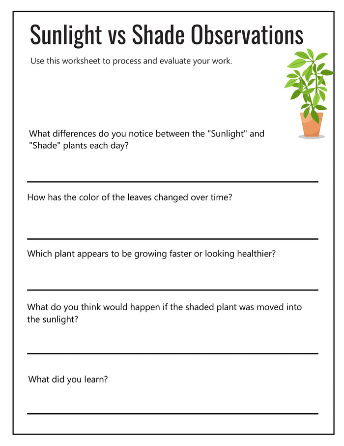 Ecology Investigation Lab