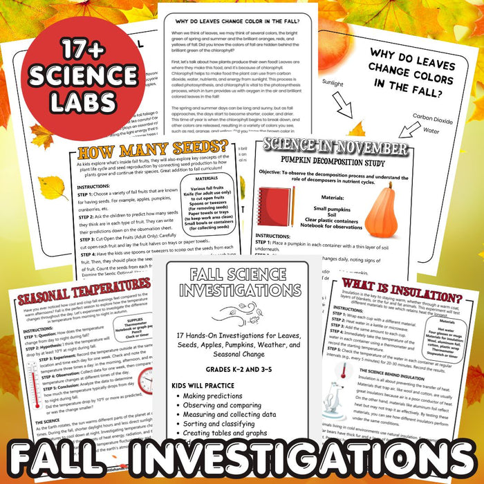 Fall Science Investigations
