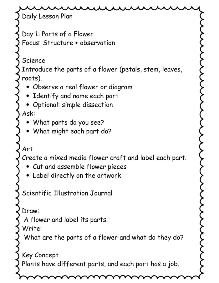 Flower STEAM Unit for Kids (K–4) | 7-Day Spring Science & Art Lesson Plan