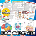 Human Anatomy Activities and Printable Pack for Kids