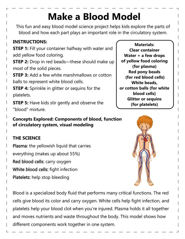 Human Anatomy Activities and Printable Pack for Kids