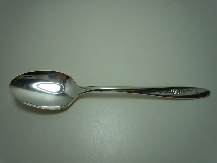 https://i.ebayimg.com/00/s/MTIwMFgxNjAw/z/btQAAOSwLnBXWtMs/$_57.JPG