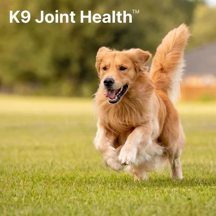 K9 Joint Health Powder 144g