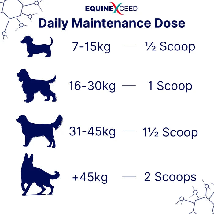 K9 Joint Health Powder 144g