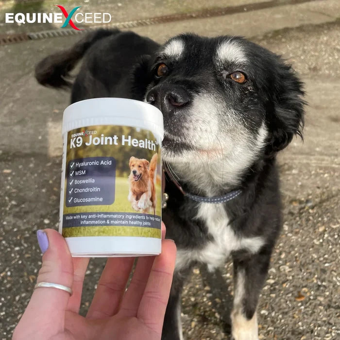 K9 Joint Health Powder 144g