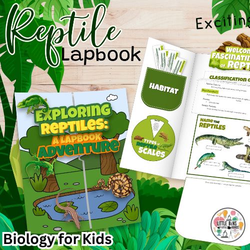 Lapbook Bundle