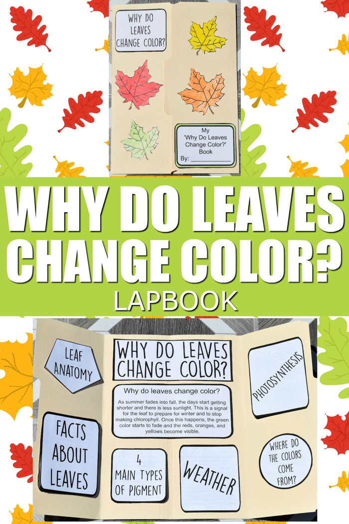 Lapbook Bundle