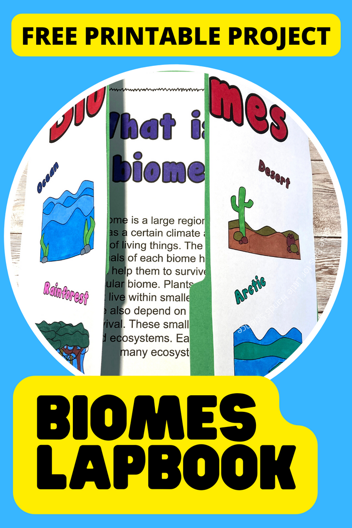 Lapbook Bundle
