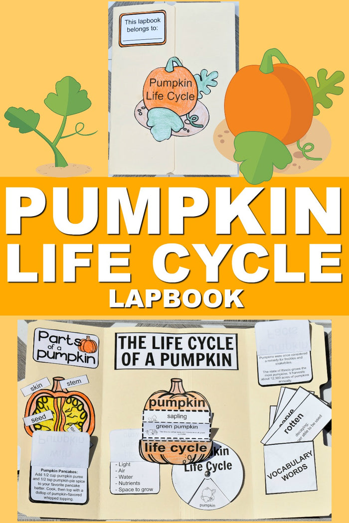Lapbook Bundle