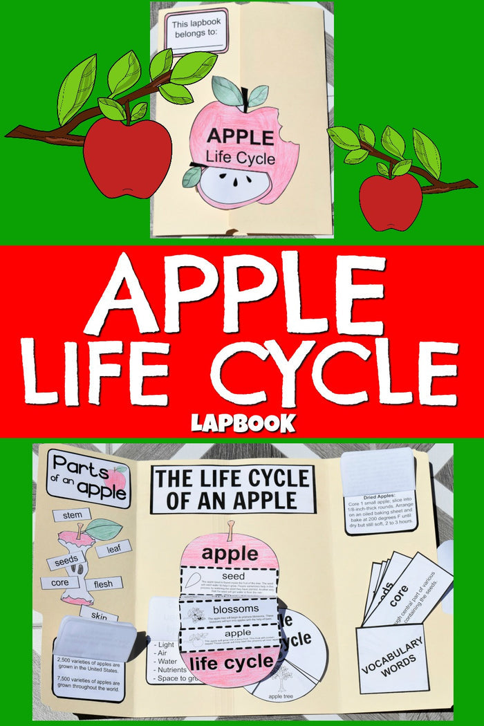 Lapbook Bundle