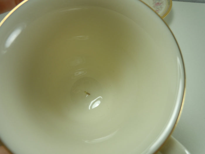 Lenox Chesapeake Demitasse Cup and Saucer Set1