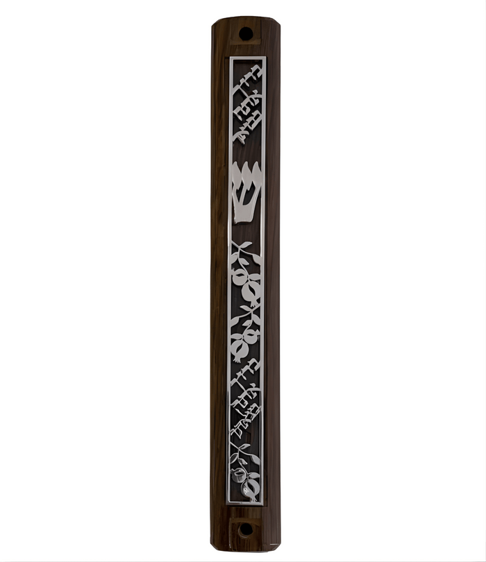 Bless Mezuzah