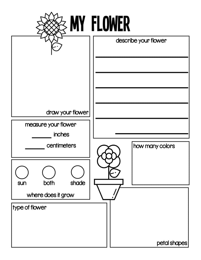Nature Activities Pack for Kids