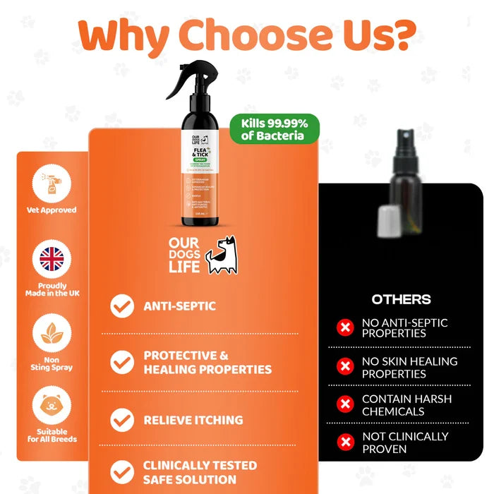 Our Dogs Life Hypochlorous Flea & Tick Spray - 250ml
