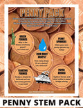 Penny STEM Activities Pack for Kids