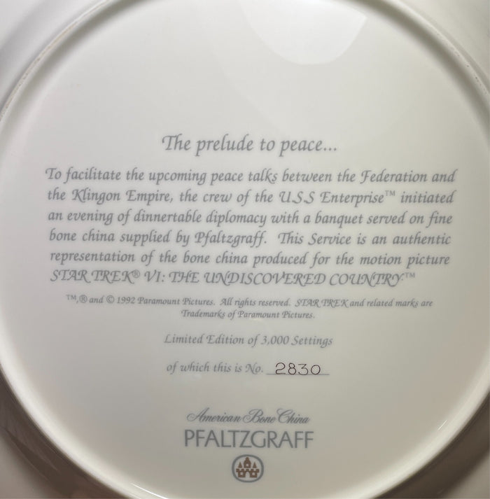 Pfaltzgraff Star Trek Bone China Dinner Plate 10 7/8"1