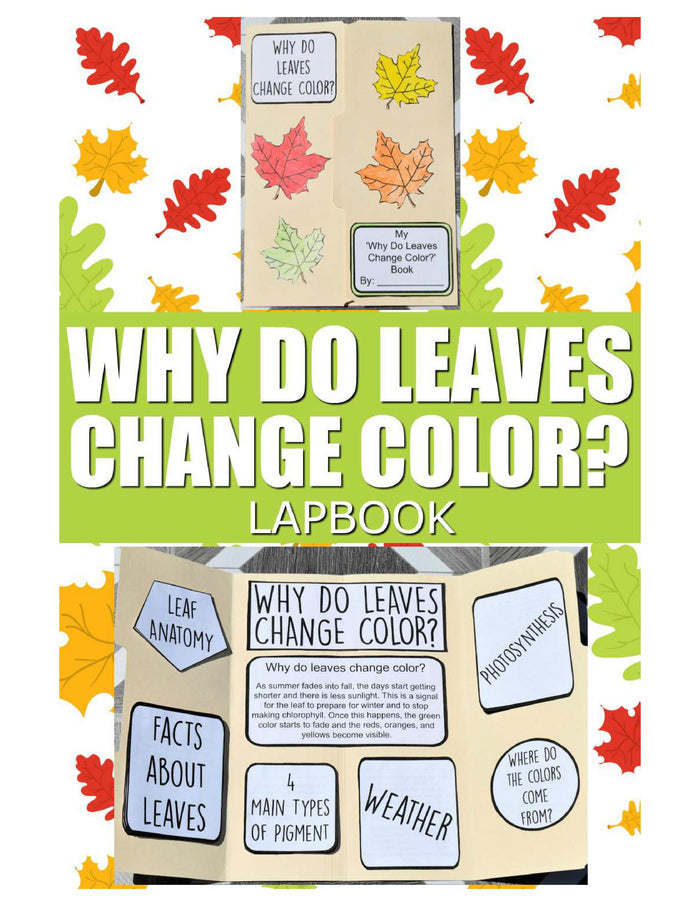 Plants, Leaves, and Seeds Project Pack
