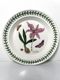 Portmeirion Botanic Garden Bread Butter Plate 7 1/4" Meadow Saffron0