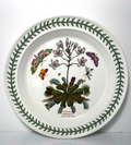 Portmeirion Botanic Garden Dinner Plate 10 1/2" Venus's Fly Trap0